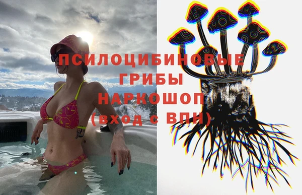 бошки Лагань