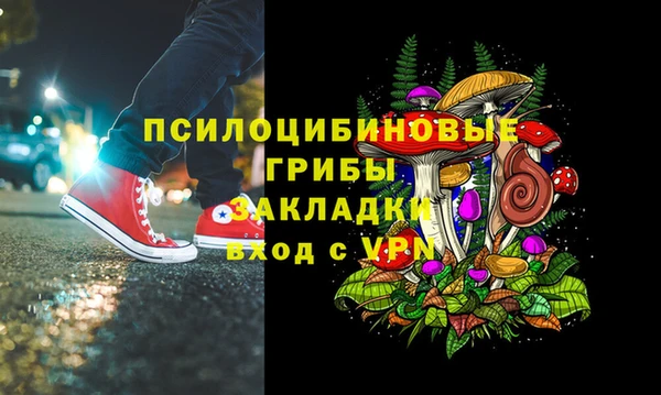 PSILOCYBIN Кукмор
