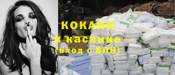 гидра Коряжма